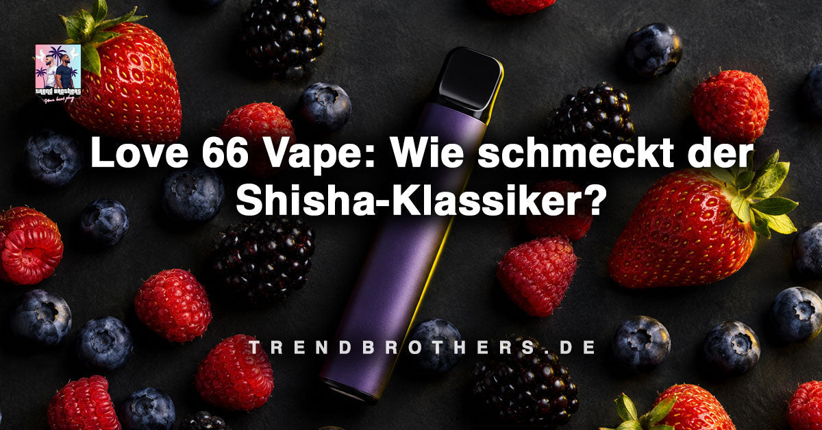 Love 66 Vape: wie schmeckt der Shisha-Klassiker?