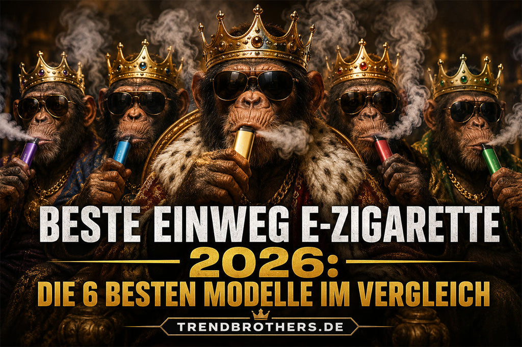 Beste Einweg E-Zigarette 2026: die 6 besten Modelle im Vergleich
