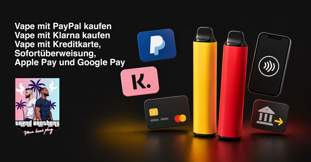 Vape mit PayPal, Klarna und Kreditkarte kaufen: alle Zahlarten