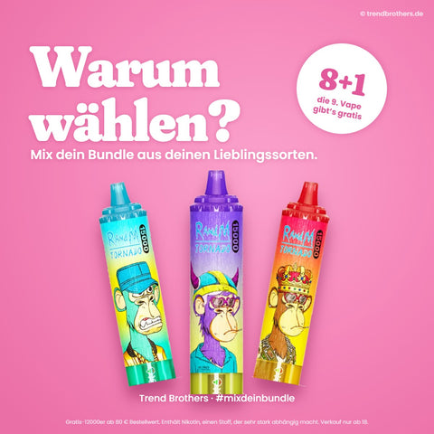 RandM Tornado 15000 Vimto – Mix-Bundle: 8 Sorten + 1 gratis